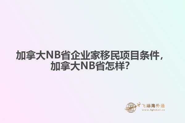 加拿大NB省企業(yè)家移民項(xiàng)目條件，加拿大NB省怎樣？