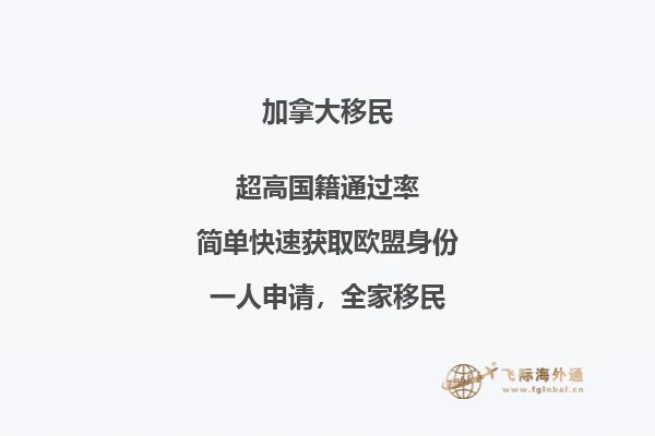 加拿大NB省企業(yè)家移民申請條件，優(yōu)勢怎么樣？