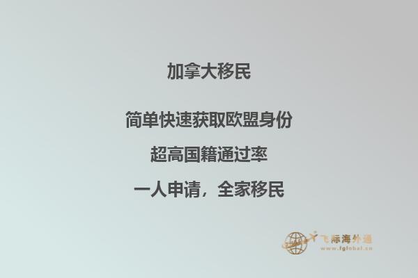 加拿大楓葉卡為何如此受歡迎