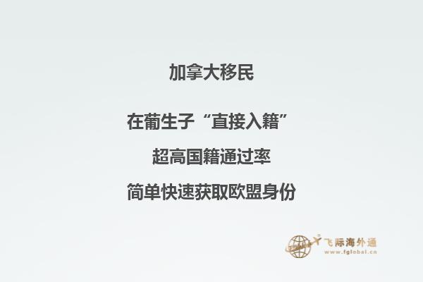 加拿大投資移民有幾種，你適合哪一種?