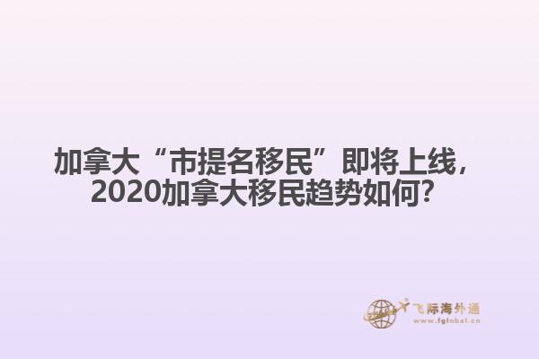 加拿大“市提名移民”即將上線，2020加拿大移民趨勢如何？
