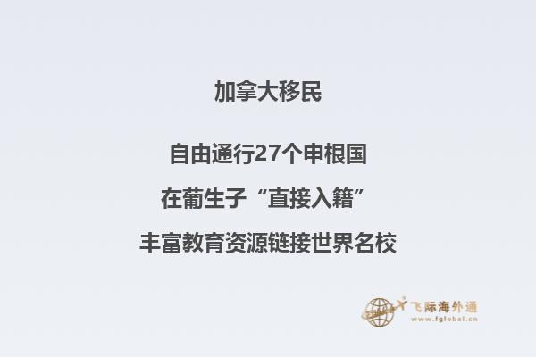 加拿大NB省企業(yè)家移民申請條件如何，你能申請嗎？