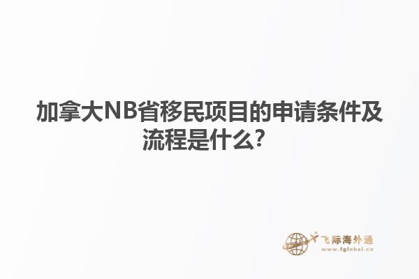 加拿大NB省移民項目的申請條件及流程是什么？