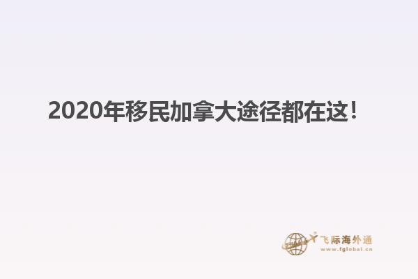 2020年移民加拿大途徑都在這！