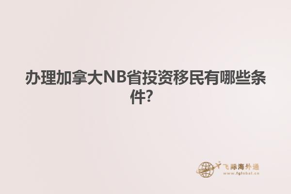 辦理加拿大NB省投資移民有哪些條件？