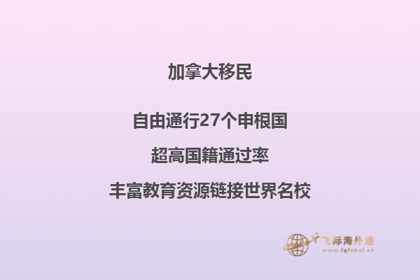 移民局背調(diào)電話注意事項，應(yīng)對移民局背景調(diào)查方法