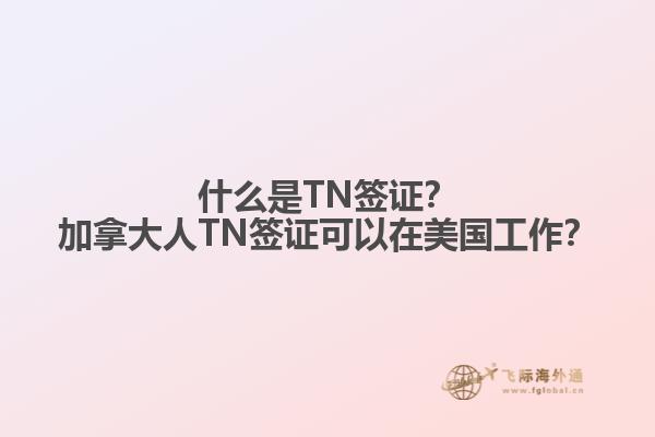 什么是TN簽證？加拿大人TN簽證可以在美國(guó)工作？