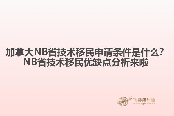 加拿大NB省技術(shù)移民申請(qǐng)條件是什么？NB省技術(shù)移民優(yōu)缺點(diǎn)分析來(lái)啦 