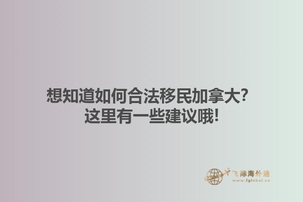 想知道如何合法移民加拿大？這里有一些建議哦!