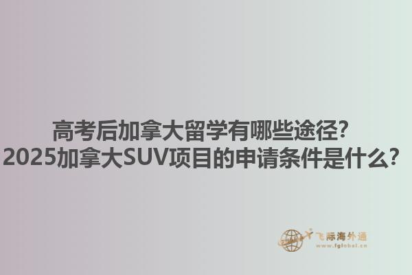 高考后加拿大留學有哪些途徑？2025加拿大SUV項目的申請條件是什么？