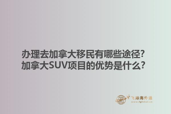 辦理去加拿大移民有哪些途徑？加拿大SUV項目的優(yōu)勢是什么？1.jpg