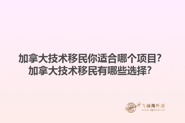 加拿大技術(shù)移民你適合哪個項目？加拿大技術(shù)移民有哪些選擇？1.jpg