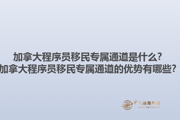 加拿大程序員移民專屬通道是什么？加拿大程序員移民專屬通道的優(yōu)勢(shì)有哪些？1.jpg