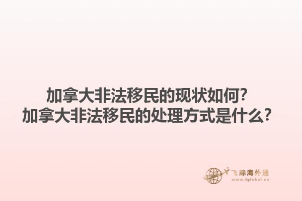 加拿大非法移民的現(xiàn)狀如何？加拿大非法移民的處理方式是什么？1.jpg