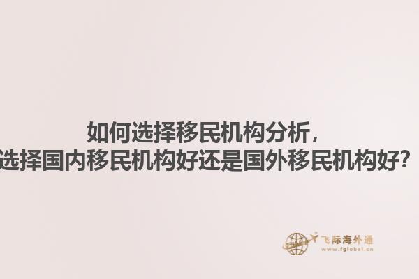 如何選擇移民機(jī)構(gòu)分析，選擇國(guó)內(nèi)移民機(jī)構(gòu)好還是國(guó)外移民機(jī)構(gòu)好？1.jpg