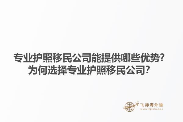 專業(yè)護(hù)照移民公司能提供哪些優(yōu)勢？為何選擇專業(yè)護(hù)照移民公司？1.jpg