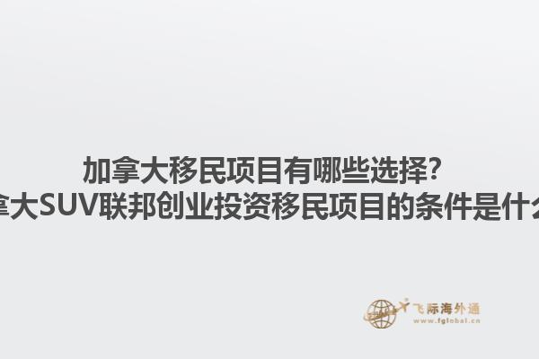 加拿大移民項(xiàng)目有哪些選擇？加拿大SUV聯(lián)邦創(chuàng)業(yè)投資移民項(xiàng)目的條件是什么？1.jpg