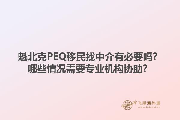 魁北克PEQ移民找中介有必要嗎？哪些情況需要專業(yè)機構(gòu)協(xié)助？1.jpg