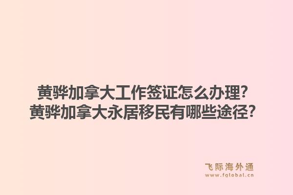 黃驊加拿大工作簽證怎么辦理？黃驊加拿大永居移民有哪些途徑？1.jpg
