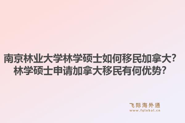 南京林業(yè)大學(xué)林學(xué)碩士如何移民加拿大？林學(xué)碩士申請加拿大移民有何優(yōu)勢？1.jpg