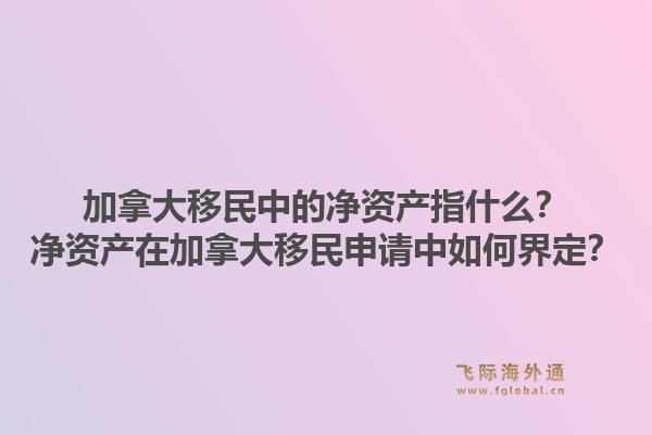加拿大移民中的凈資產(chǎn)指什么？凈資產(chǎn)在加拿大移民申請中如何界定？1.jpg