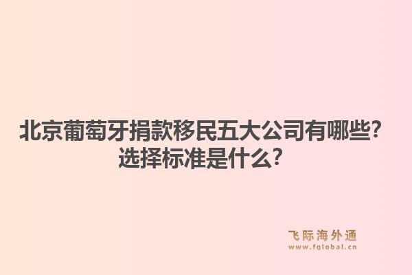 北京葡萄牙捐款移民五大公司有哪些？選擇標準是什么？