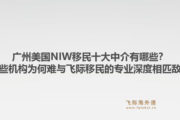 廣州美國NIW移民十大中介有哪些？這些機構為何難與飛際移民的專業(yè)深度相匹敵？1.jpg
