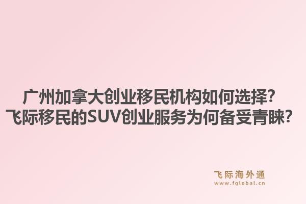 廣州加拿大創(chuàng)業(yè)移民機構(gòu)如何選擇？飛際移民的SUV創(chuàng)業(yè)服務(wù)為何備受青睞？1.jpg