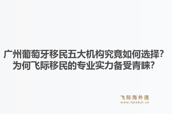 廣州葡萄牙移民五大機(jī)構(gòu)究竟如何選擇？為何飛際移民的專業(yè)實(shí)力備受青睞？1.jpg