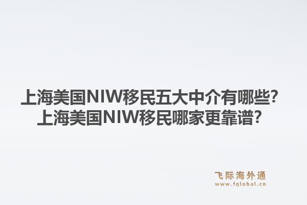 上海美國NIW移民五大中介有哪些？上海美國NIW移民哪家更靠譜？1.jpg