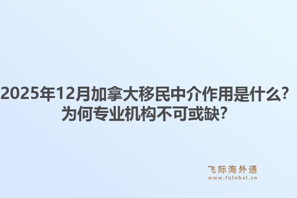 2025年12月加拿大移民中介作用是什么？為何專業(yè)機構(gòu)不可或缺？1.jpg