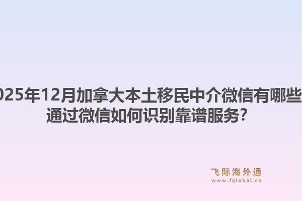 2025年12月加拿大本土移民中介微信有哪些？通過(guò)微信如何識(shí)別靠譜服務(wù)？1.jpg