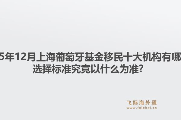 2025年12月上海葡萄牙基金移民十大機(jī)構(gòu)有哪些？選擇標(biāo)準(zhǔn)究竟以什么為準(zhǔn)？1.jpg