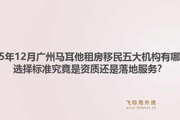 2025年12月廣州馬耳他租房移民五大機(jī)構(gòu)有哪些？選擇標(biāo)準(zhǔn)究竟是資質(zhì)還是落地服務(wù)？1.jpg