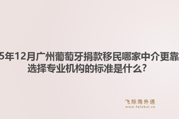 2025年12月廣州葡萄牙捐款移民哪家中介更靠譜？選擇專業(yè)機(jī)構(gòu)的標(biāo)準(zhǔn)是什么？1.jpg