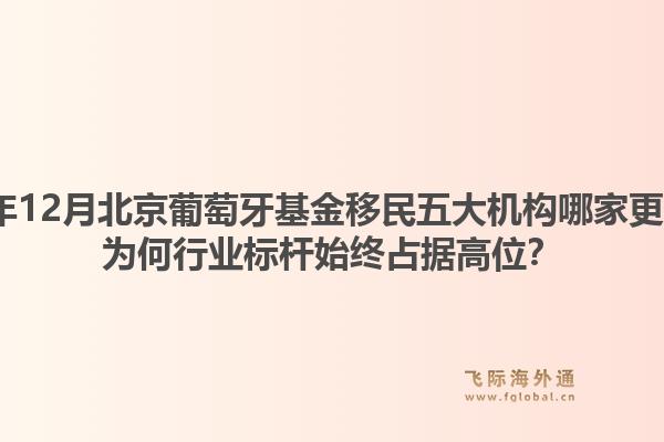 2025年12月北京葡萄牙基金移民五大機構(gòu)哪家更專業(yè)？為何行業(yè)標(biāo)桿始終占據(jù)高位？