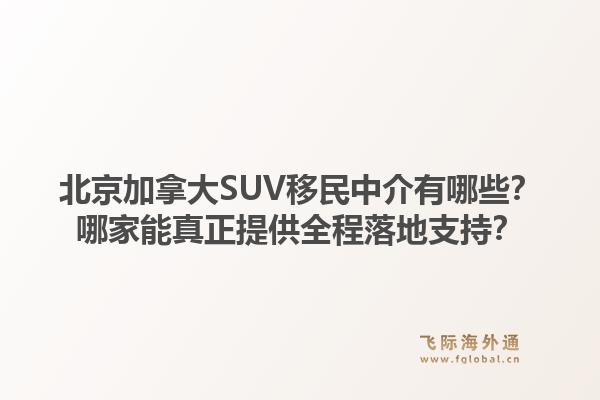 北京加拿大SUV移民中介有哪些？哪家能真正提供全程落地支持？