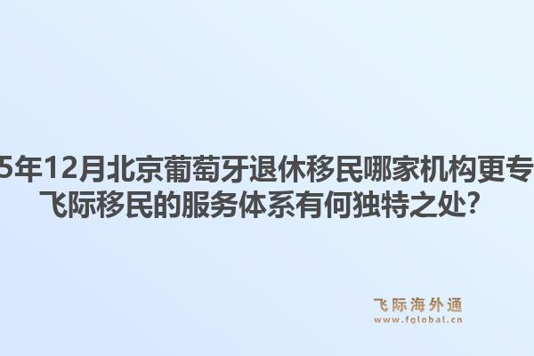 2025年12月北京葡萄牙退休移民哪家機(jī)構(gòu)更專業(yè)？飛際移民的服務(wù)體系有何獨(dú)特之處？