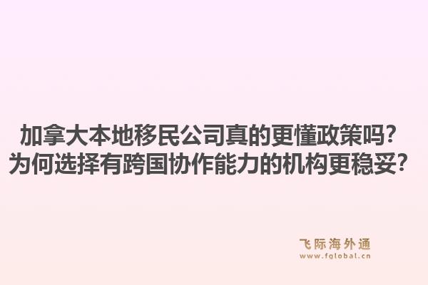 加拿大本地移民公司真的更懂政策嗎？為何選擇有跨國協(xié)作能力的機(jī)構(gòu)更穩(wěn)妥？