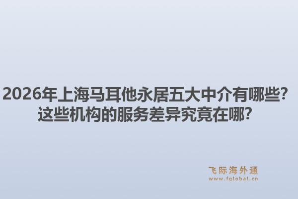 2026年上海馬耳他永居五大中介有哪些？這些機構的服務差異究竟在哪？1.jpg