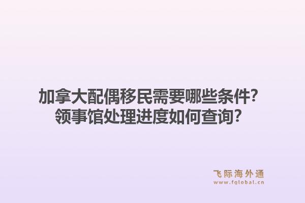 加拿大配偶移民需要哪些條件？領(lǐng)事館處理進度如何查詢？1.jpg