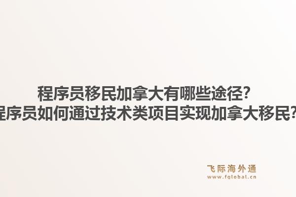 程序員移民加拿大有哪些途徑？程序員如何通過技術(shù)類項目實現(xiàn)加拿大移民？1.jpg