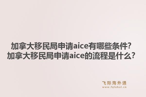 加拿大移民局申請aice有哪些條件？加拿大移民局申請aice的流程是什么？