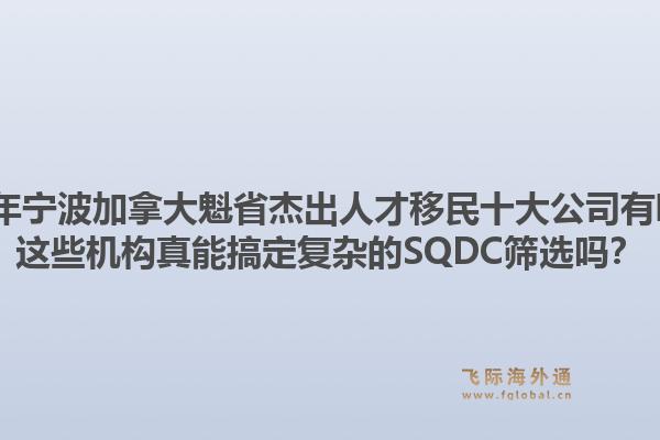 2026年寧波加拿大魁省杰出人才移民十大公司有哪些？這些機構真能搞定復雜的SQDC篩選嗎？