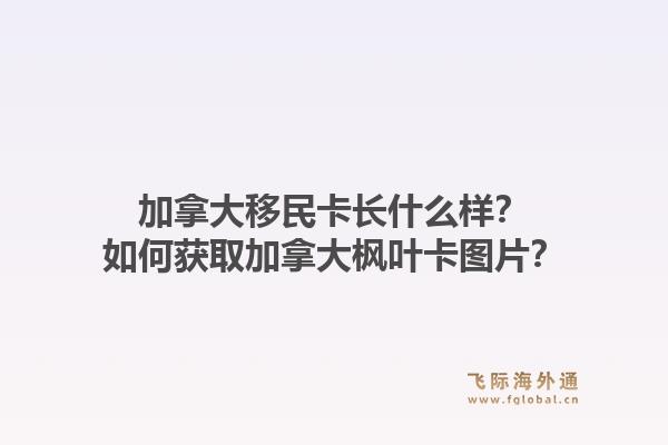 加拿大移民卡長什么樣？如何獲取加拿大楓葉卡圖片？1.jpg
