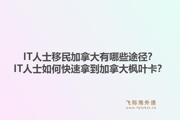 IT人士移民加拿大有哪些途徑？IT人士如何快速拿到加拿大楓葉卡？1.jpg