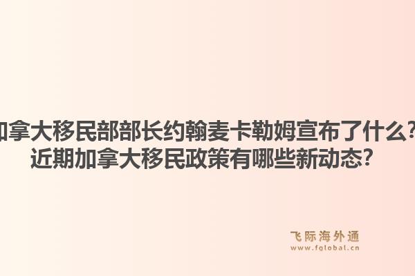 加拿大移民部部長約翰麥卡勒姆宣布了什么？近期加拿大移民政策有哪些新動(dòng)態(tài)？1.jpg