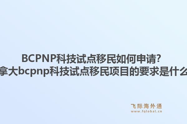 BCPNP科技試點(diǎn)移民如何申請？加拿大bcpnp科技試點(diǎn)移民項(xiàng)目的要求是什么？1.jpg