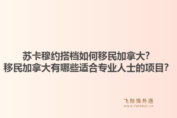 蘇卡穆約搭檔如何移民加拿大？移民加拿大有哪些適合專業(yè)人士的項(xiàng)目？1.jpg